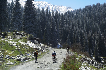 Fototapeta na wymiar Three bikers in spring mountains