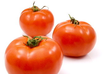 tomatoes
