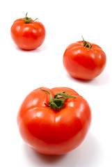 tomatoes