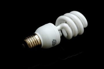 lampadina