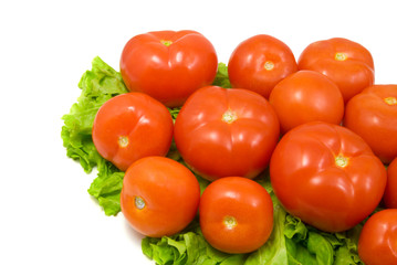 tomatoes and lettuce