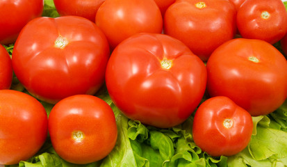 tomatoes and lettuce