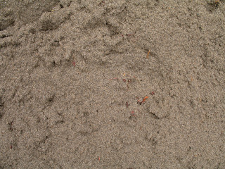 Sand