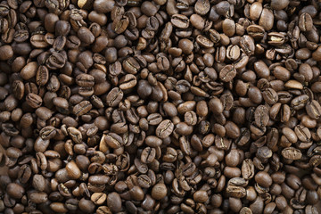 Fototapeta premium Coffee beans