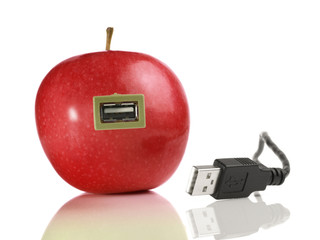 Bioenergie / USB Stecker