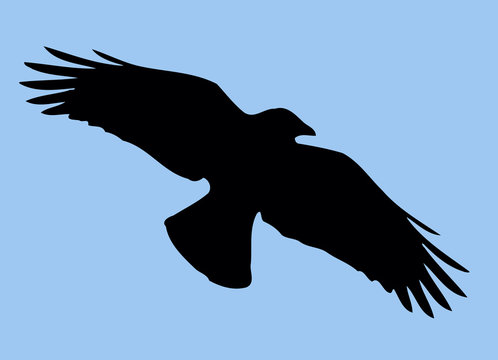 recommend clip art: Bird Silhouette