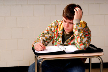 Teenager Taking School Notes