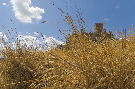 Portugal - Almourol 5