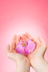 orchid in the female hands