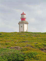 Fototapeta na wymiar lighthouse with green