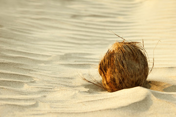 Coconut on sand.