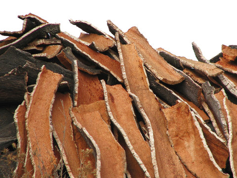 huge pile of corc oak bark in portugal