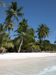 Playa de Isla Saona. Republica Dominicana