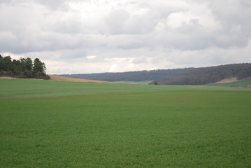 champs et espace