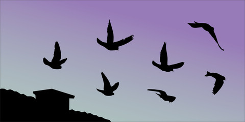 Vector silhouettes of pigeons flying over the roof