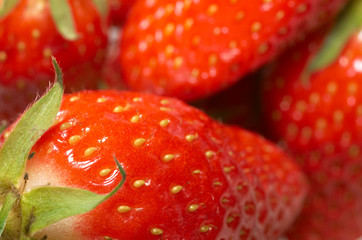 Fraises