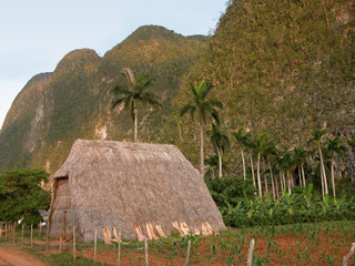 Bohio. Valle de Viñales. Cuba