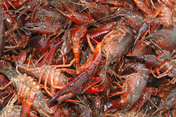 Getting Crayfish ready to boil at a cookout with selective DOF