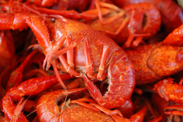 Getting Crayfish ready to boil at a cookout with selective DOF