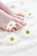 Obraz na płótnie Canvas Female feet with white daisies.