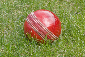 Cricket ball in the grass