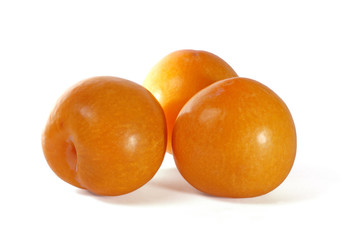 Yellow plums isolated on white background
