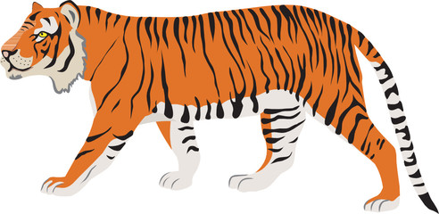 tiger