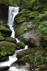 Naklejka premium Cascade du Triberg