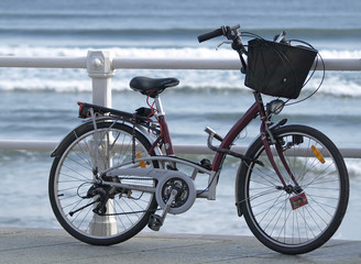 Fototapeta premium Bicicleta con porta bultos