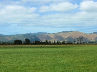 Neuseelandlandschaft