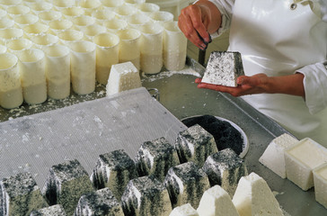 FABRICATION DU FROMAGE DE CHÈVRE
