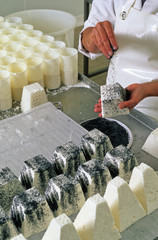 FABRICATION DU FROMAGE DE CH&Egrave;VRE