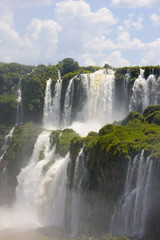 Fototapeta premium Iguassu falls in Argentina