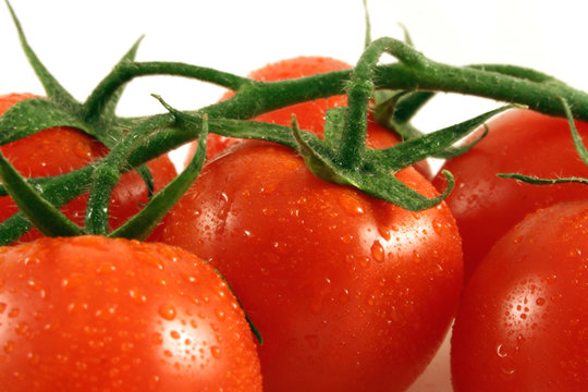 Pomodori rossi 11