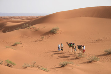 Fototapeta na wymiar Méharée dans le Sahara marocain