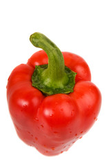 Red pepper close-up