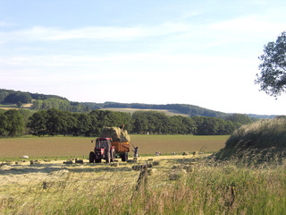 Obraz premium Heuernte