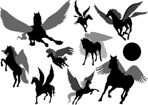 A collection of vector pegasus silhouette