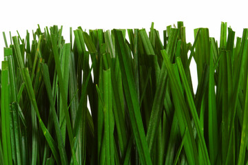 cutted green grass isolated