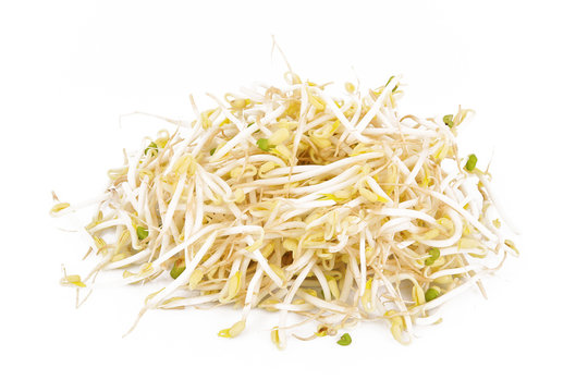 germoglio di soia