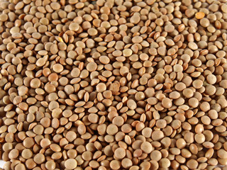 Lentil background
