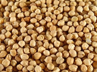 Chickpea beans