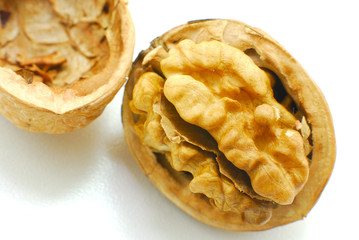 Walnut in shell