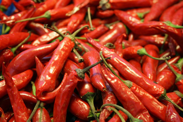Chilli