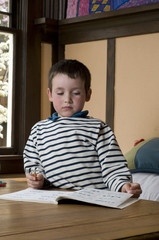 boy doing home work