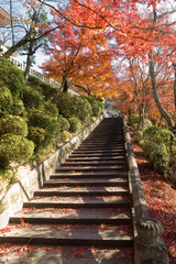 Autumn Kiyomizu temple