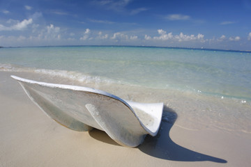 Playa Vacia