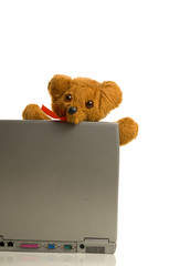 Teddy bear on laptop computer