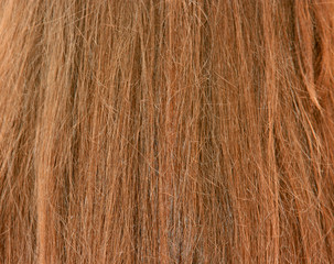 Female hair