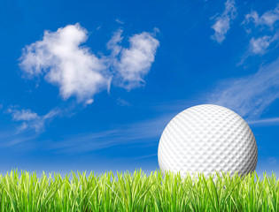 Golf ball with space for text/logo in tall grass with blue sky 
